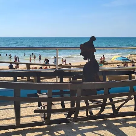 Cabrita * アルブフェイラ