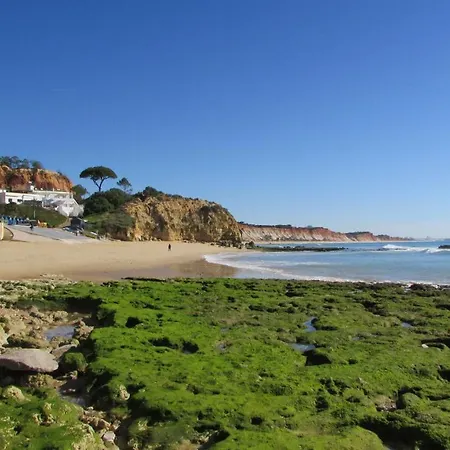 Cabrita アルブフェイラ